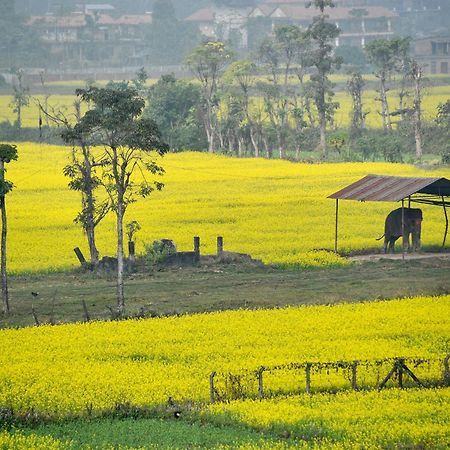 Sweet Home Chitwan Exterior photo