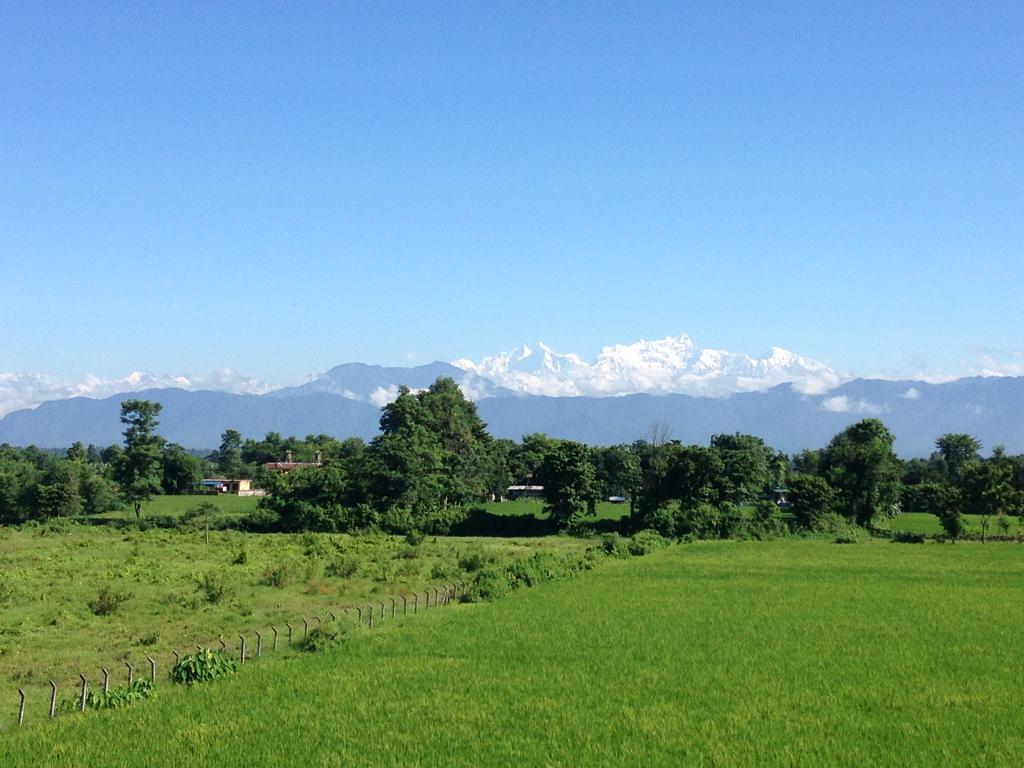Sweet Home Chitwan Exterior photo
